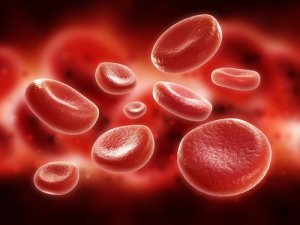 Platelets
